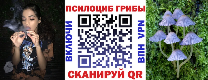 Псилоцибиновые грибы мицелий  kraken вход  Кадников 